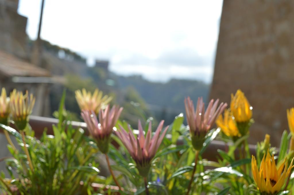 Casa Dei Lavatoi Pitigliano Lejlighed Eksteriør billede